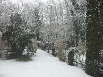 Schnee im Garten