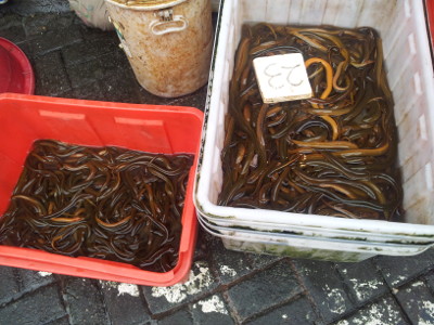 Wasserschlangen auf dem Markt